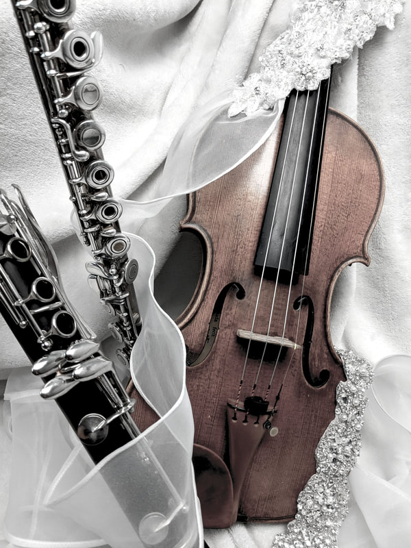 Violin, Flute, Clarinet - Rabbit Mountain Music 